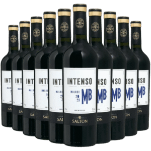 Kit 10 Vinhos Tintos – Salton Intenso Malbec
